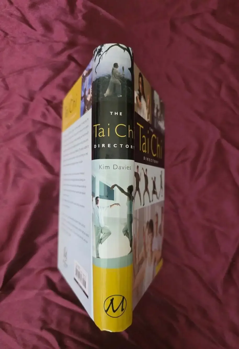 The Tai Chi Directory by Kim Davies (Hardcover)